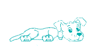 Tierphysiotherapie