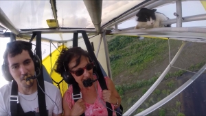 Remove cat before flight